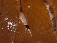 -京悦荟·京沪融合菜(漕河泾印象城店)