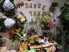-共舞时光猫咖·狗咖(新街口店)