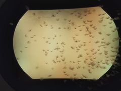 -沈阳海洋探索中心