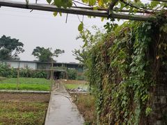 -咏竹苑