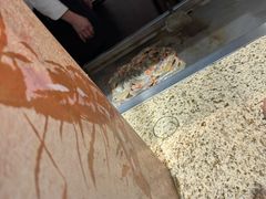 -汉巴味德(沈阳万象汇店)