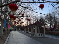 -丰台花园