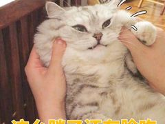 -金原鸭血粉丝汤总店(锁金村店)