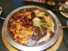 菌汤鸳鸯锅-沸炉重庆老火锅(军事博物馆店)