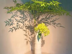 -穹六人间 people 6(岳阳路店)
