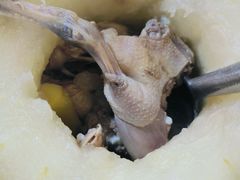 -红旗山庄(圭峰山店)