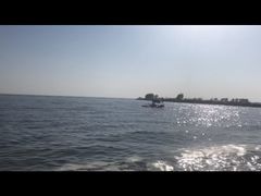 -合肥滨湖国家森林公园