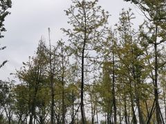 -府河摄影公园