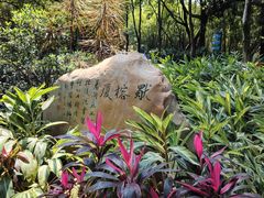 -晓港公园