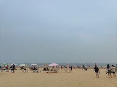 -日照海滨国家森林公园
