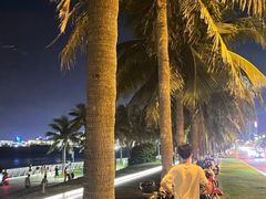 -西秀海滩公园