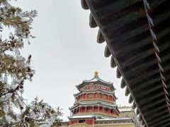 -颐和园