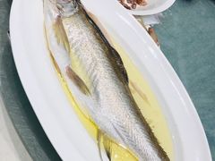 鸡汁长江白鱼-狮王府淮扬菜(新街口友谊店)