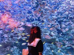 -成都浩海立方海洋公园