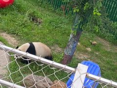 -沈阳森林动物园