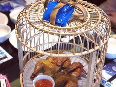 凤巢春鸡-法兰度航空主题餐厅(端州店)