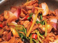 -禄婶鸡煲·打边炉