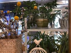 -猫的天空之城概念书店(印象城购物中心店)