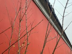 -南京市无想山景区