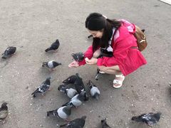 -宪法广场