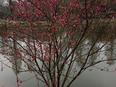 -常德桃花源景区