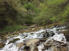 -叠溪松坪沟景区