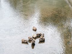 -偏岩古镇