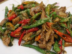 尖椒拆骨肉（开胃下酒）-石老头关东饺子王·东北菜(嘉华鑫城店)