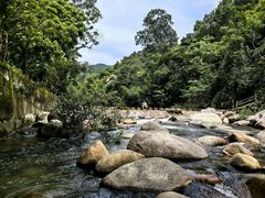 -海南热带雨林国家公园吊罗山景区