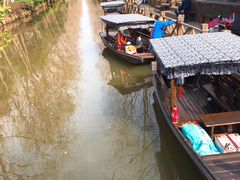 -合肥滨湖国家森林公园