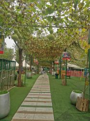 -萌宠亲子动物乐园(槐房万达店)