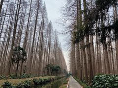 -上海怡沁园度假酒店