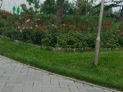 -辛玛王国游乐园