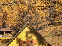 -莫尔道嘎国家森林公园