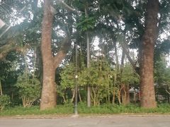 -人民公园(罗湖区)