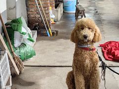 -山涧人家·旺山农家菜(旺山店)