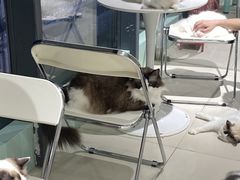 -怪兽屋·羊驼·猫咖·狗咖(俊华广场店)