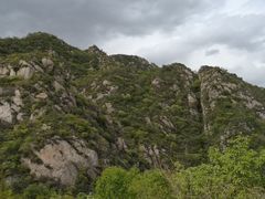 -大岭沟猕猴桃谷风景区