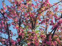 -南通洲际绿博园