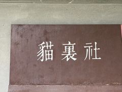 -猫里有甜