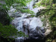 -王顺山国家森林公园