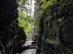 -梭布垭石林景区