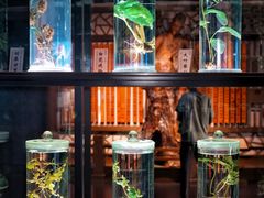 -广东中医药博物馆