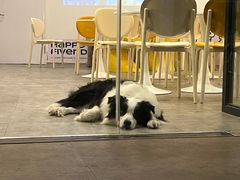 -ibarrel爱杯·bistro&brunch(江宁路店)