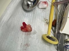 -上海市徐汇区口腔医院