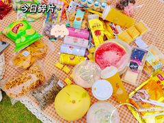 -上海滨江森林公园