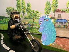 -济州岛泰迪熊博物馆