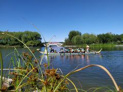 -大兴滨河森林公园