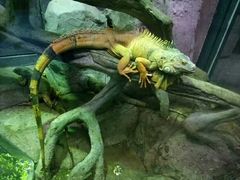 -福州罗源湾海洋世界旅游区