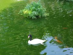 -九龙公园